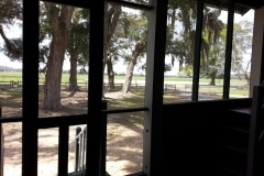 Greenhouse-Inside05