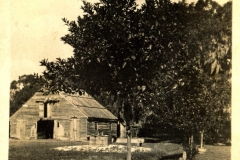 Greenhs-Barn