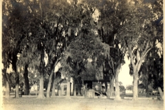 Greenhs5