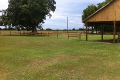 photo-03